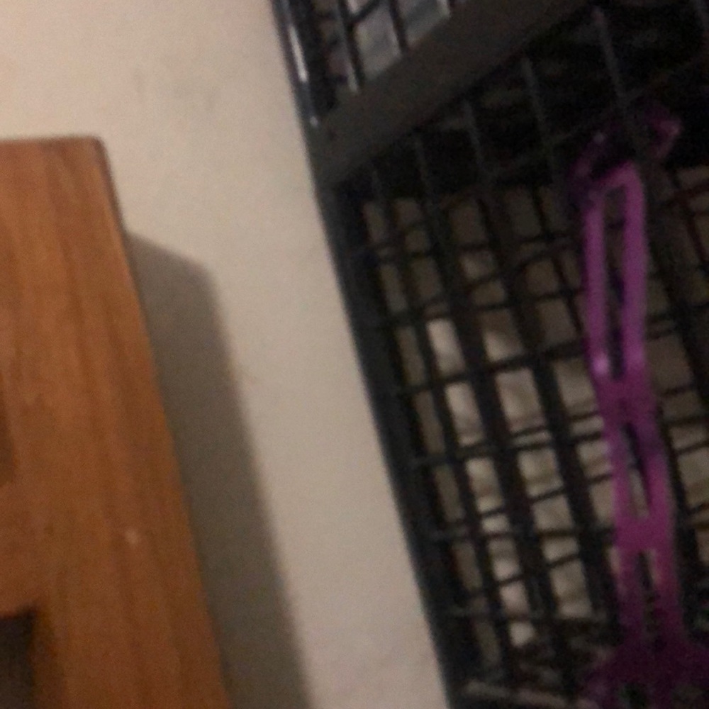 Meet your Posher, Cameron